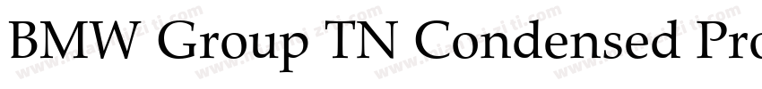 BMW Group TN Condensed Pro TT Bold字体转换